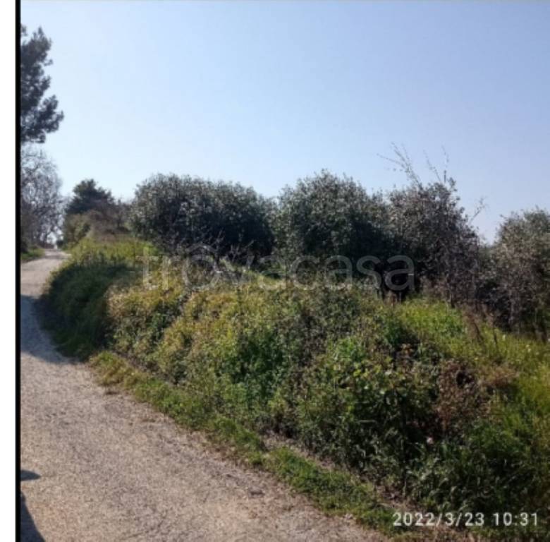 immagine annuncio 8 di 14