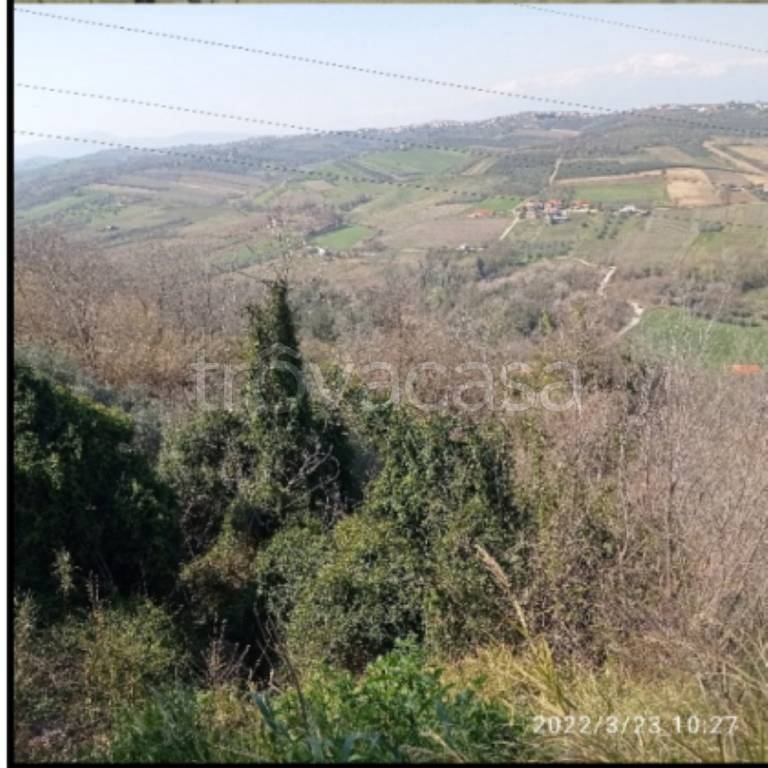 immagine annuncio 9 di 14