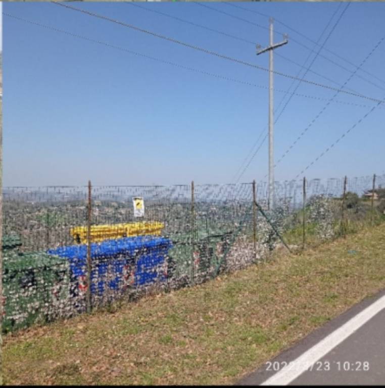 immagine annuncio 10 di 14