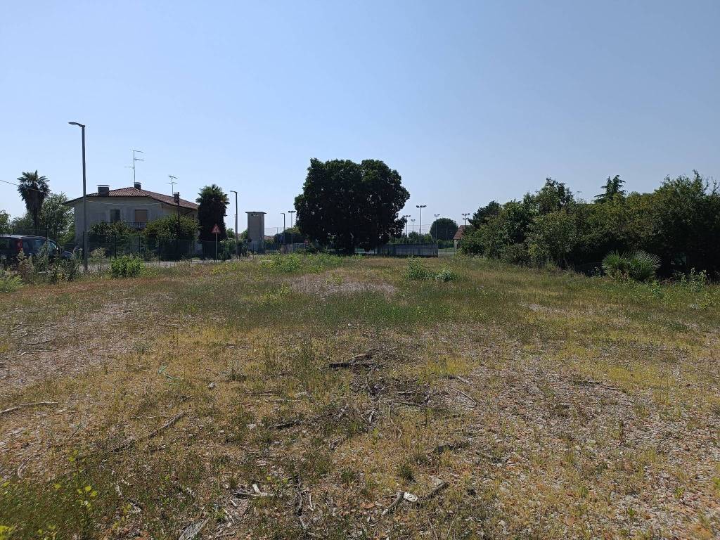 immagine annuncio 3 di 11