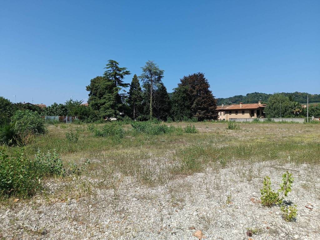 immagine annuncio 6 di 11
