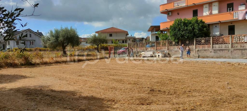 immagine annuncio 3 di 6
