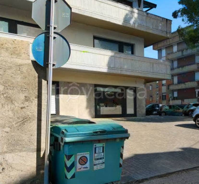 immagine annuncio 2 di 11