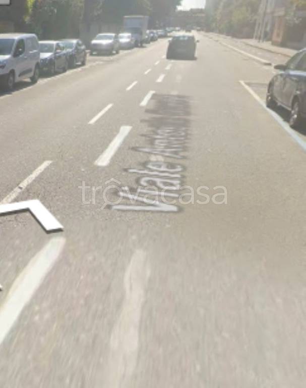 immagine annuncio 6 di 12