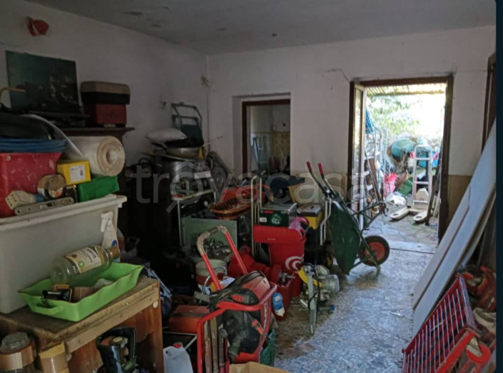 immagine annuncio 3 di 13