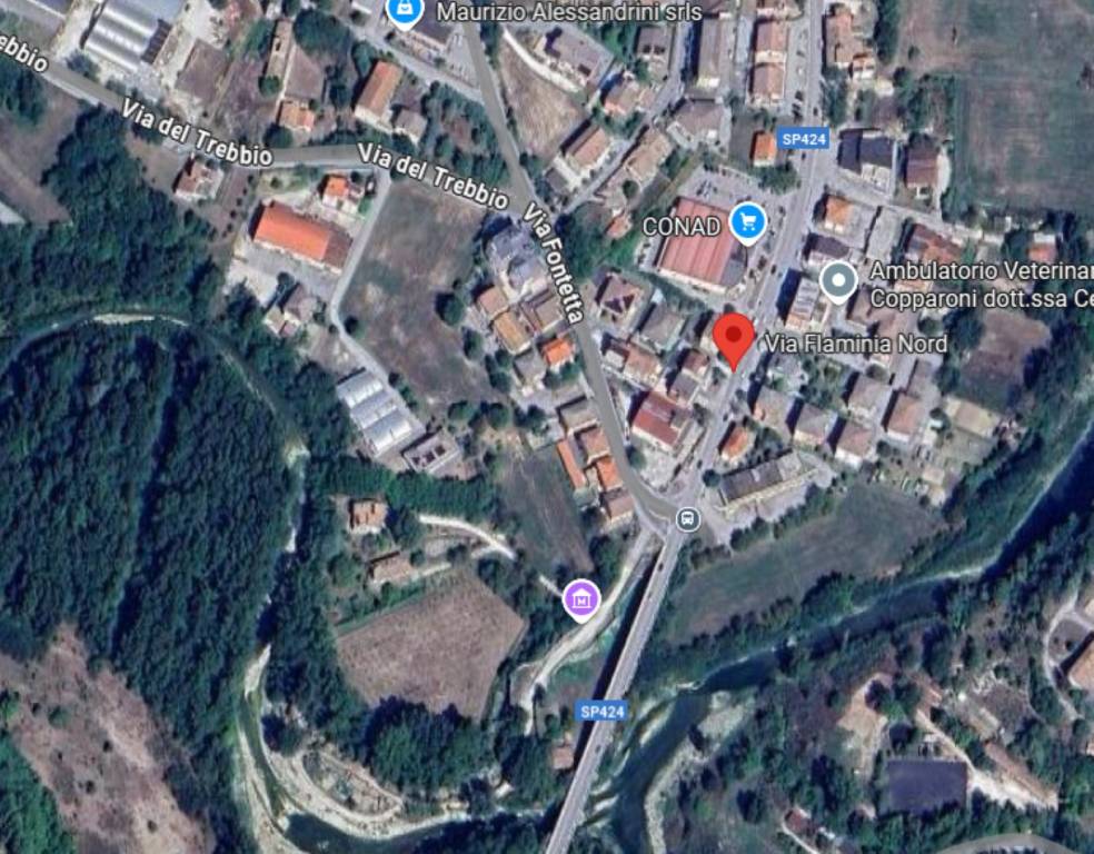 immagine annuncio 7 di 11