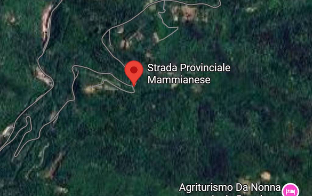 immagine annuncio 3 di 12