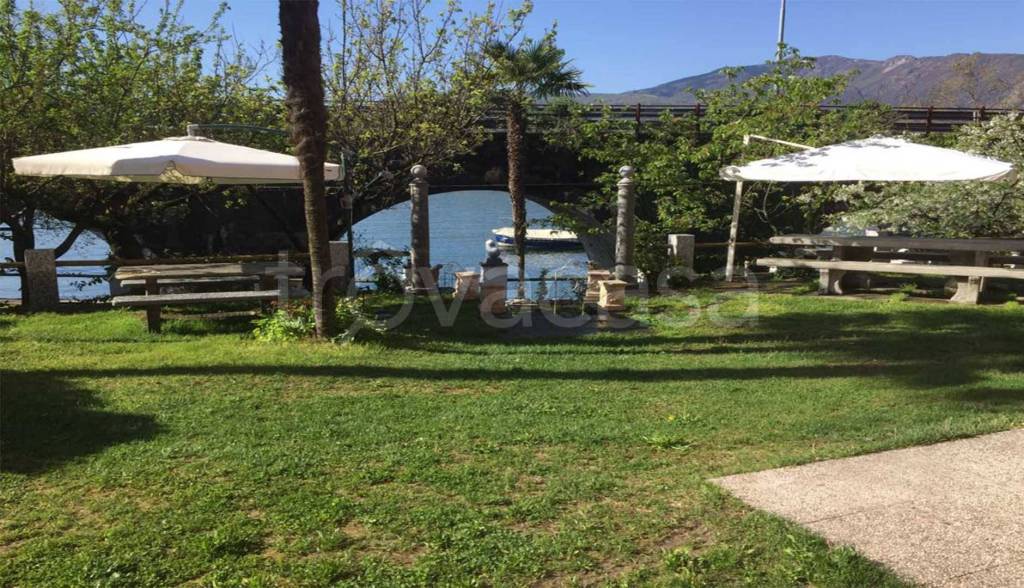immagine annuncio 3 di 14
