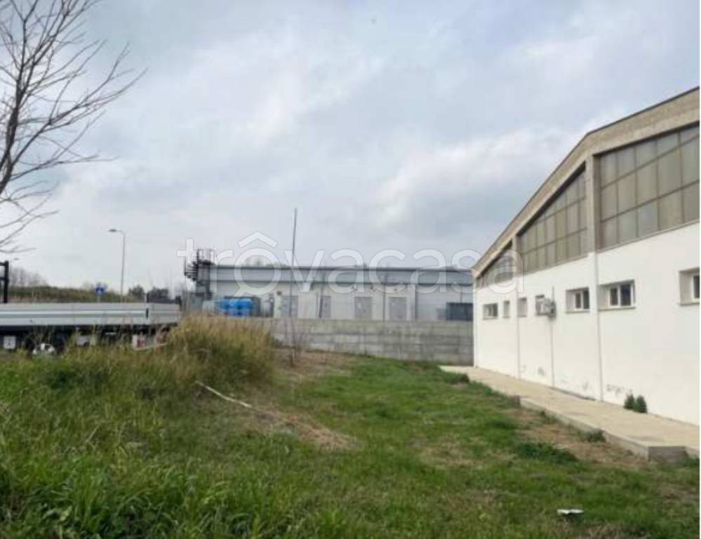 immagine annuncio 4 di 14