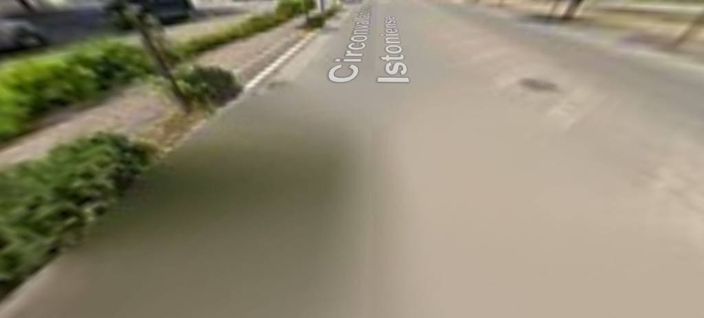 immagine annuncio 6 di 14