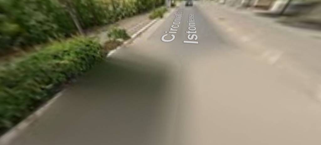 immagine annuncio 11 di 14