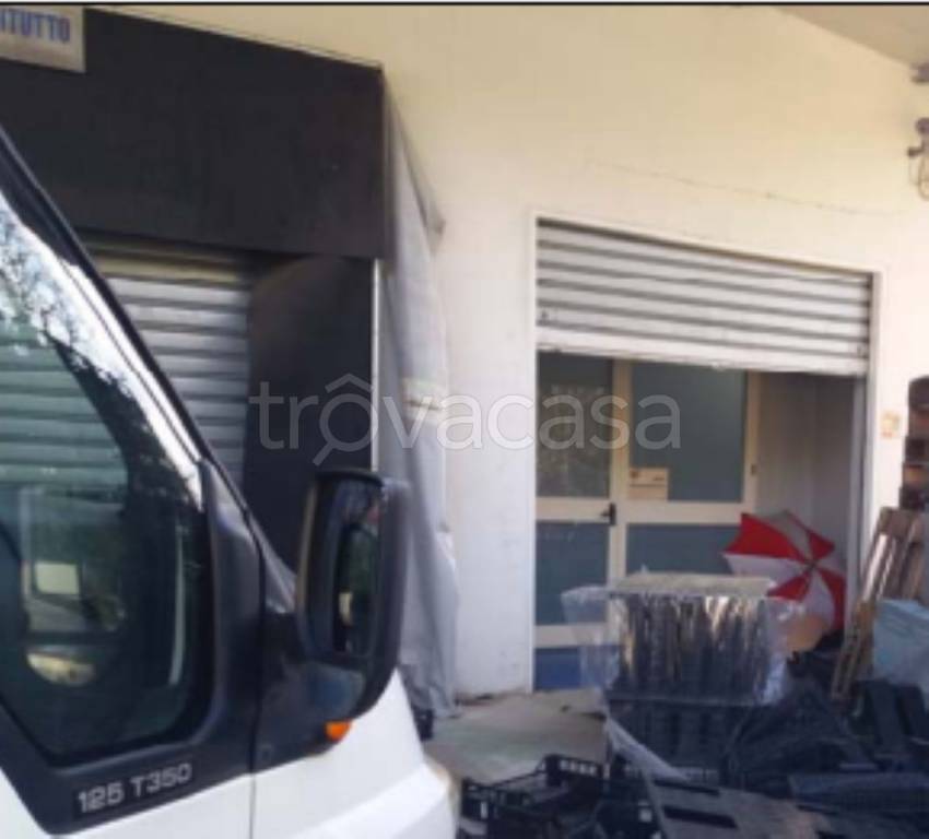 immagine annuncio 3 di 11