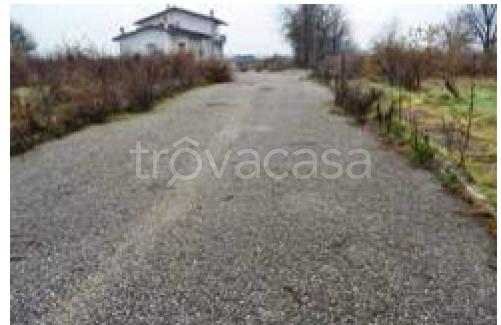 immagine annuncio 6 di 11