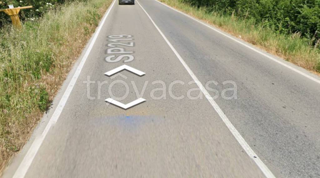 immagine annuncio 2 di 11