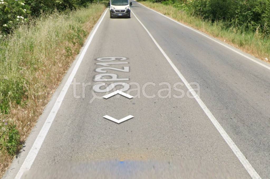 immagine annuncio 3 di 11
