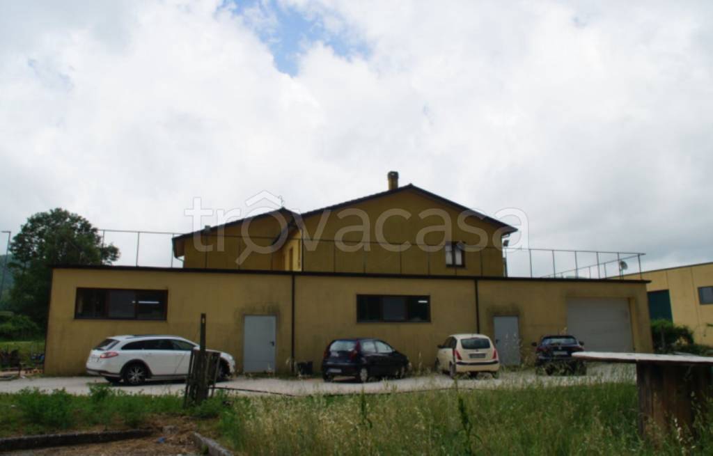 immagine annuncio 6 di 12