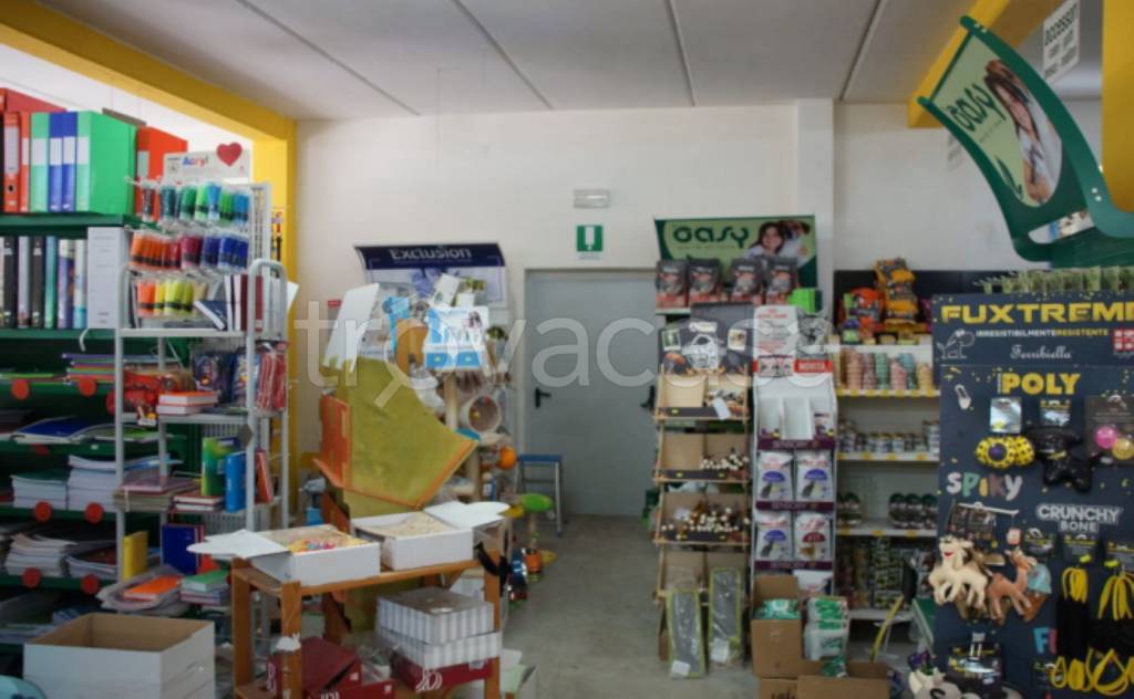 immagine annuncio 10 di 12