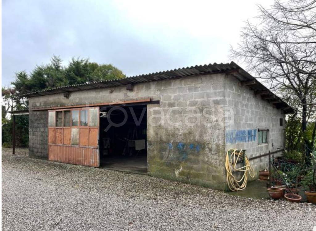 immagine annuncio 6 di 12