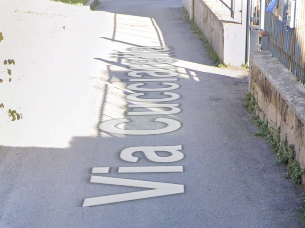 immagine annuncio 10 di 12