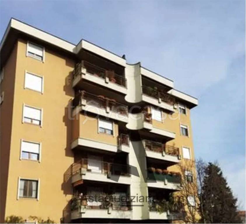 immagine annuncio 5 di 11