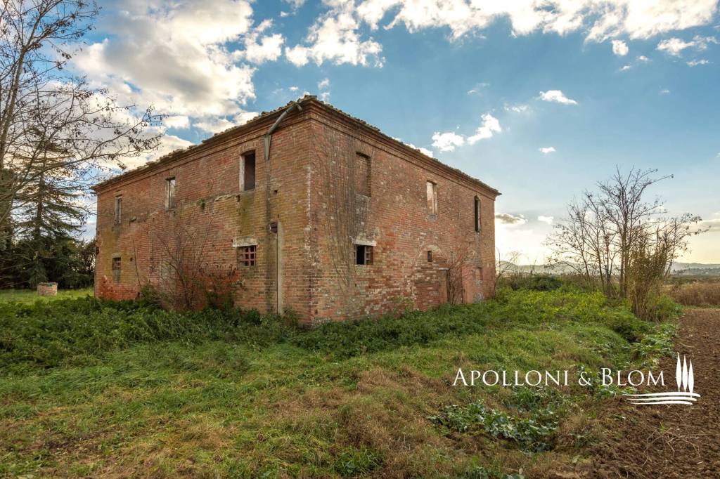 immagine annuncio 7 di 11