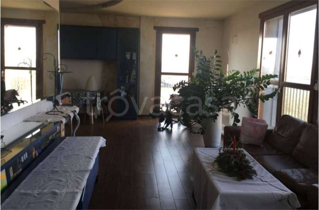 immagine annuncio 5 di 11