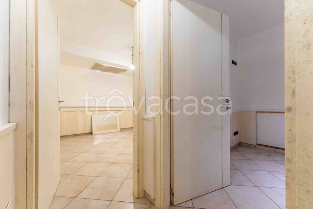immagine annuncio 9 di 14