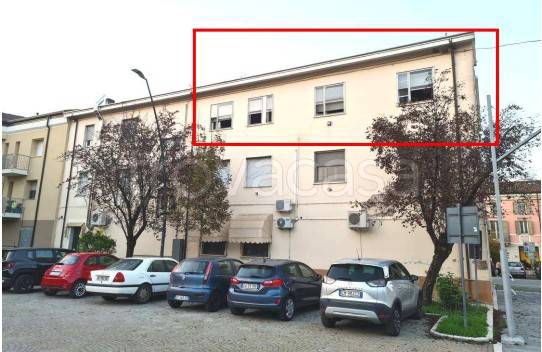 immagine annuncio 1 di 14