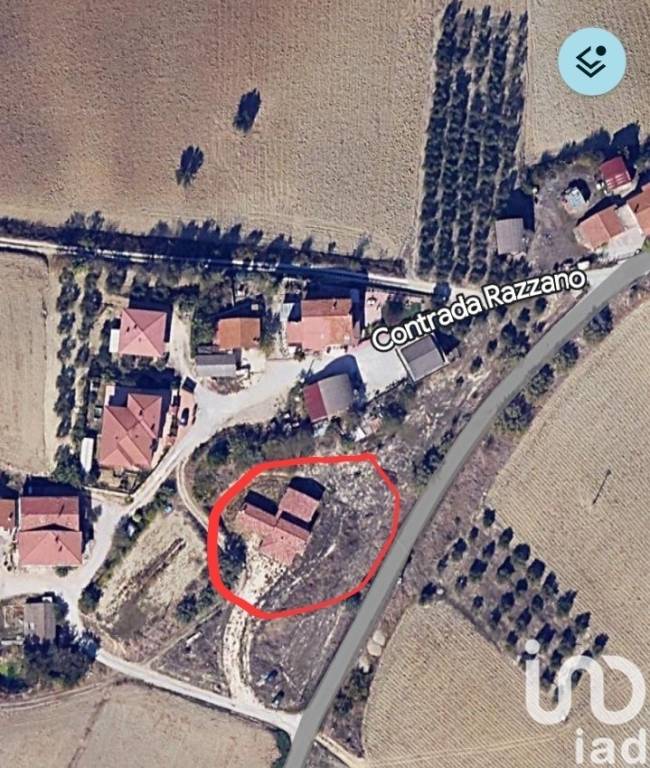 immagine annuncio 5 di 12