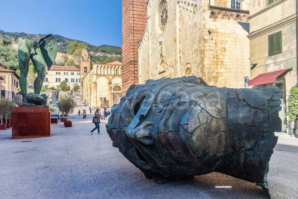 immagine annuncio 5 di 7