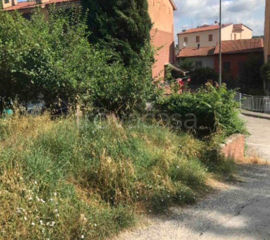immagine annuncio 7 di 8