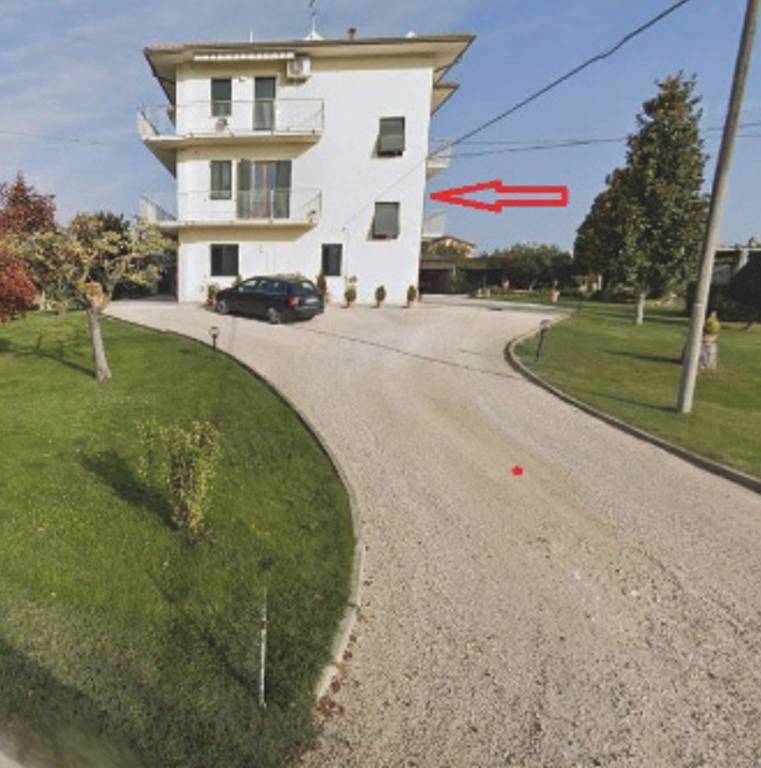 immagine annuncio 7 di 12