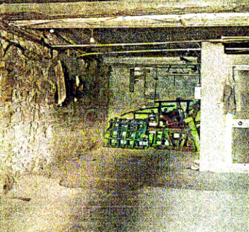 immagine annuncio 6 di 14