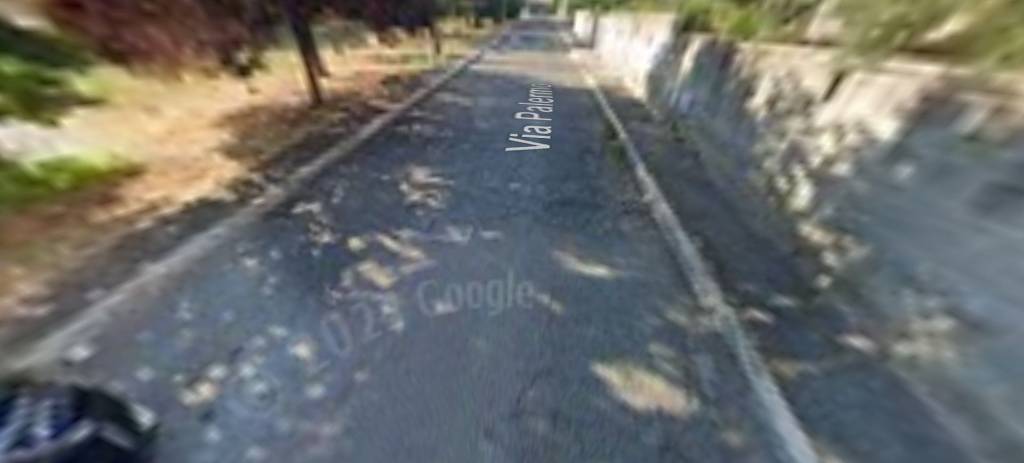 immagine annuncio 10 di 13