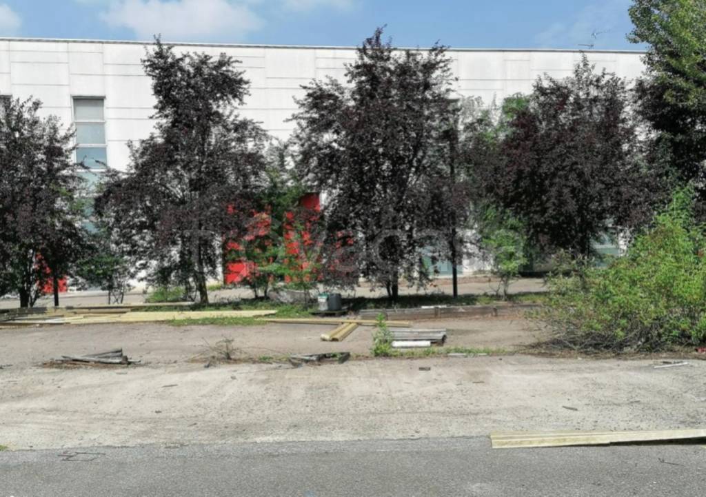 immagine annuncio 2 di 13