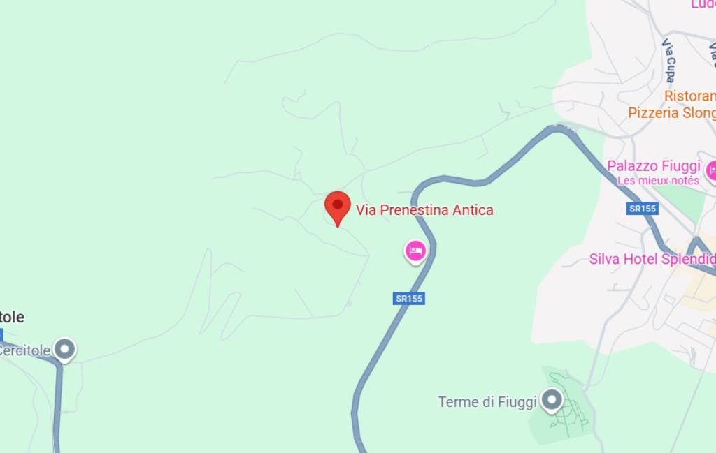 immagine annuncio 3 di 11