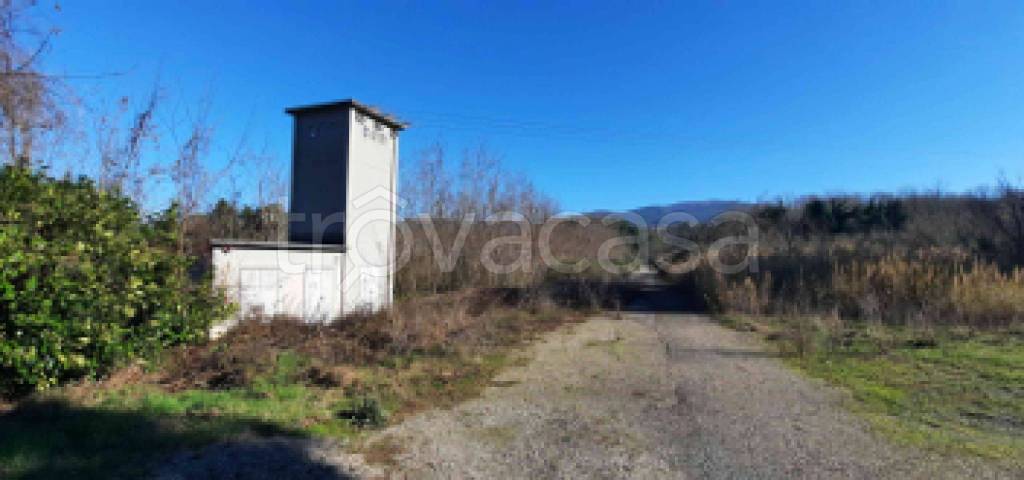 immagine annuncio 11 di 12