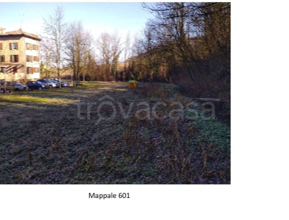 immagine annuncio 3 di 12