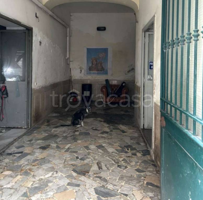 immagine annuncio 9 di 14