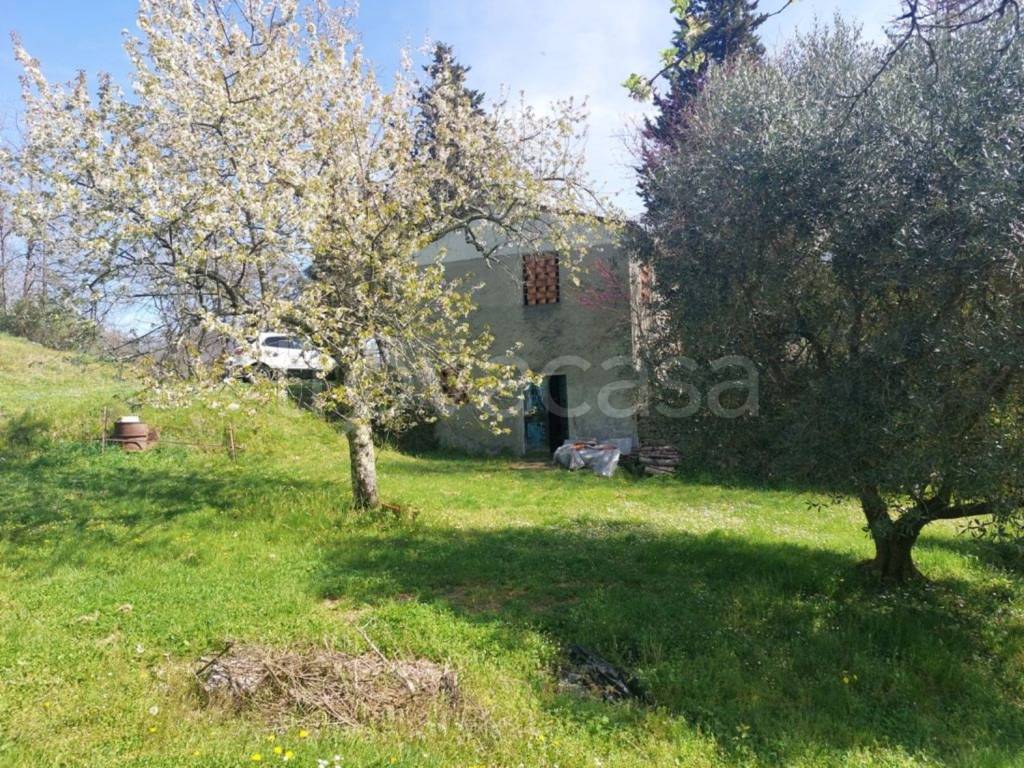 immagine annuncio 12 di 14