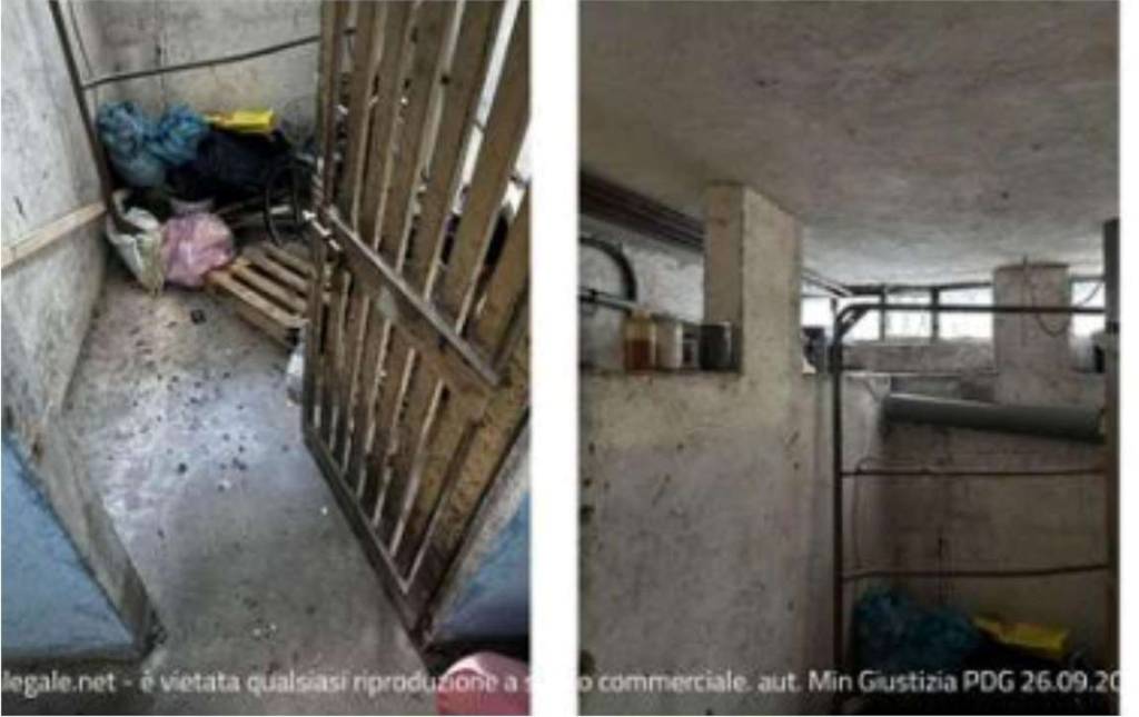 immagine annuncio 12 di 15