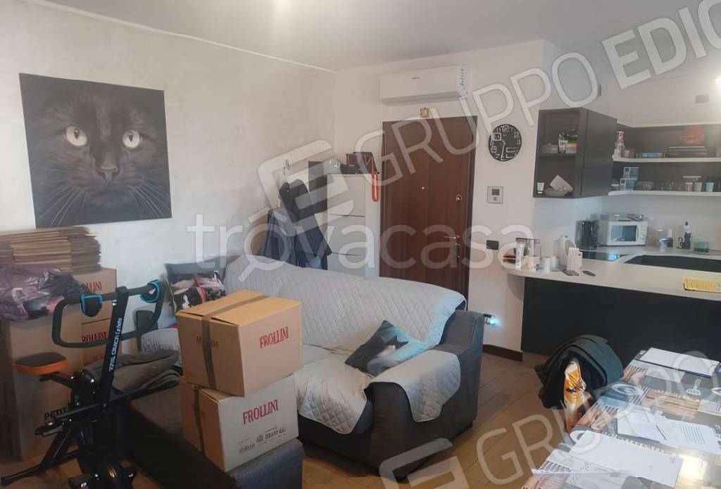 immagine annuncio 1 di 7