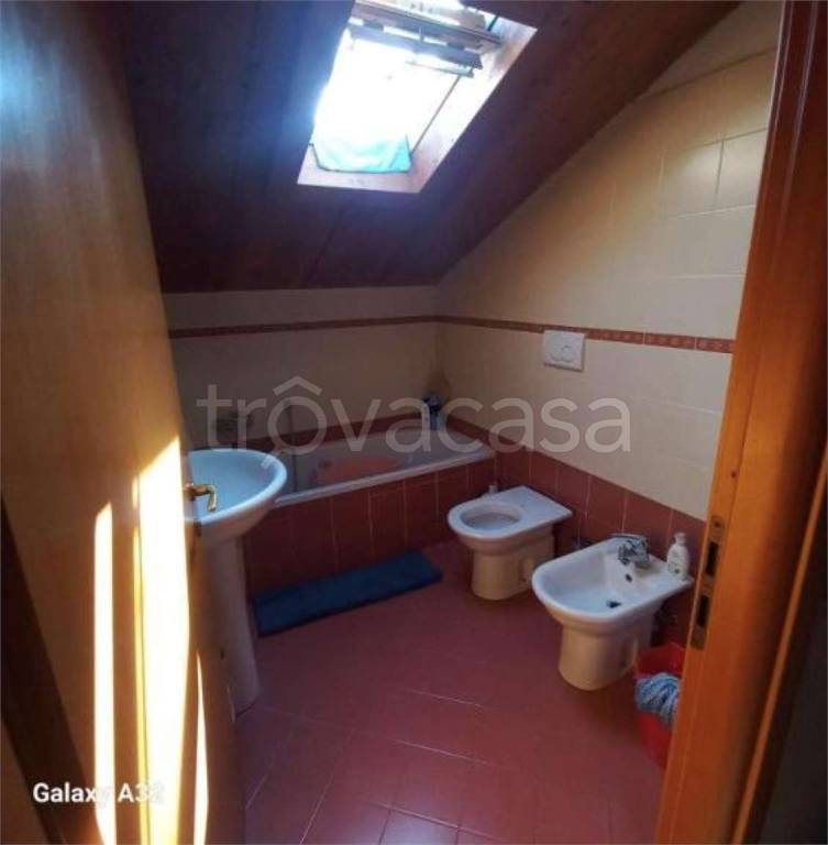 immagine annuncio 3 di 14
