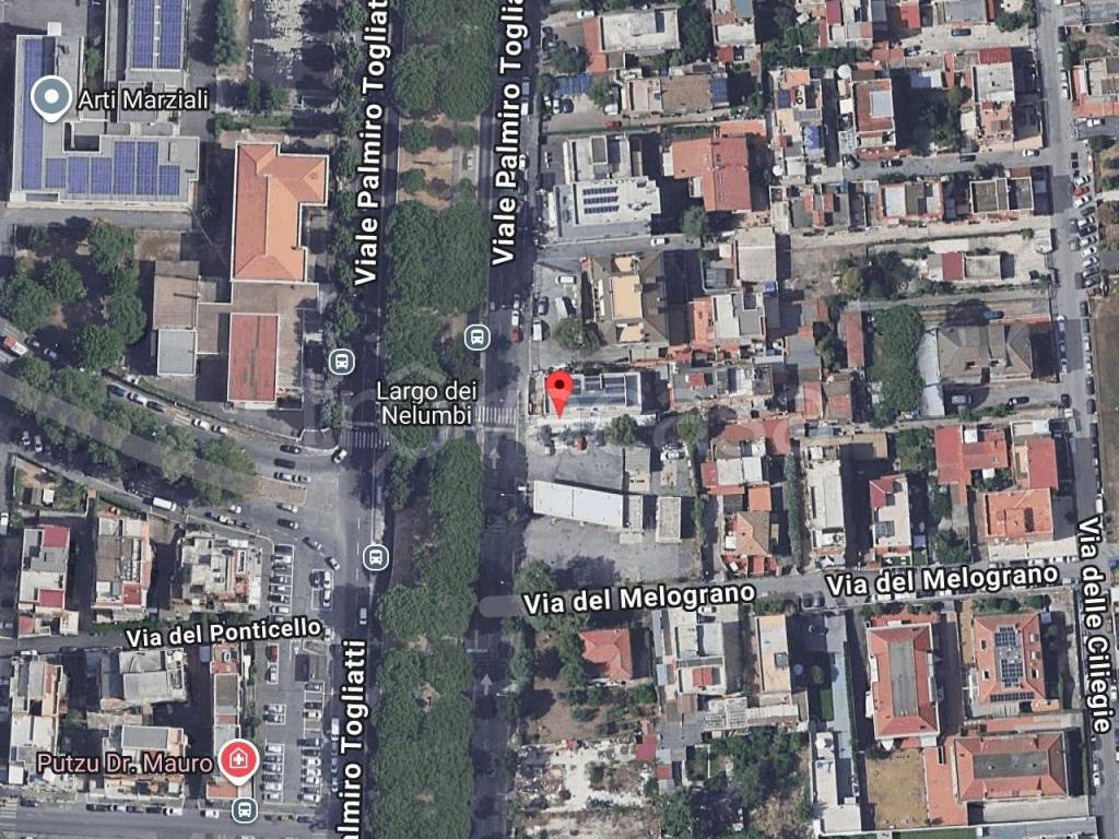 immagine annuncio 1 di 11