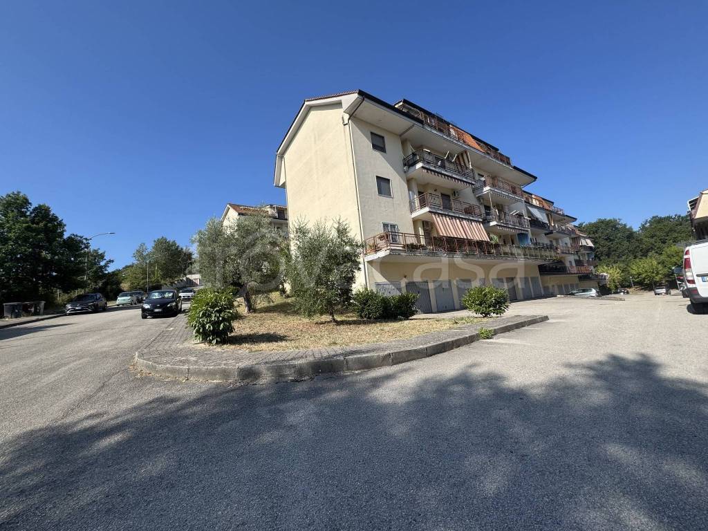 immagine annuncio 1 di 8