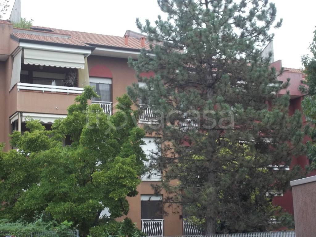 immagine annuncio 11 di 14