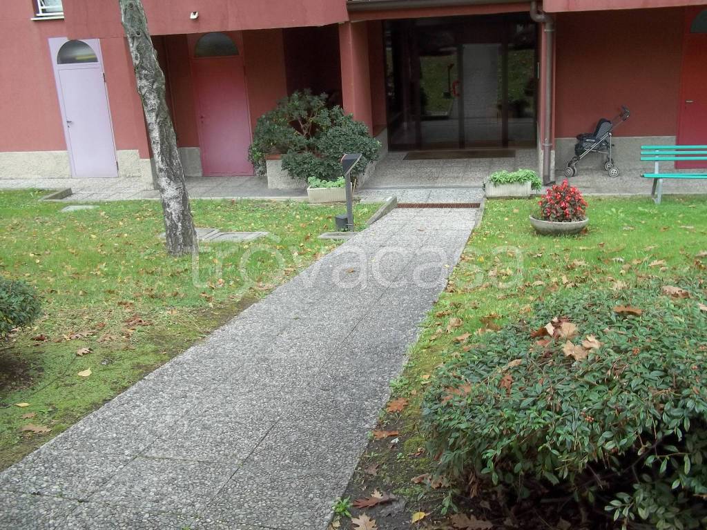 immagine annuncio 12 di 14