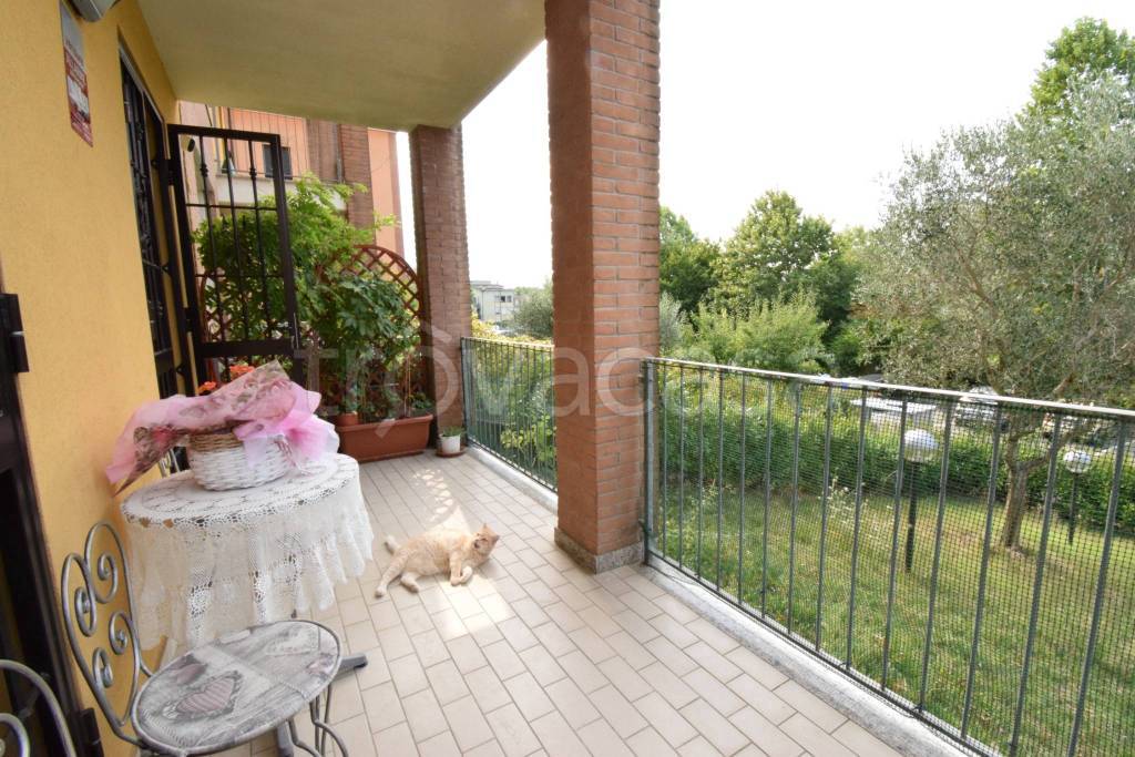 immagine annuncio 9 di 15