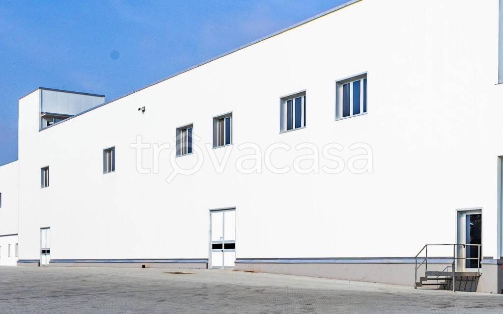 immagine annuncio 4 di 9
