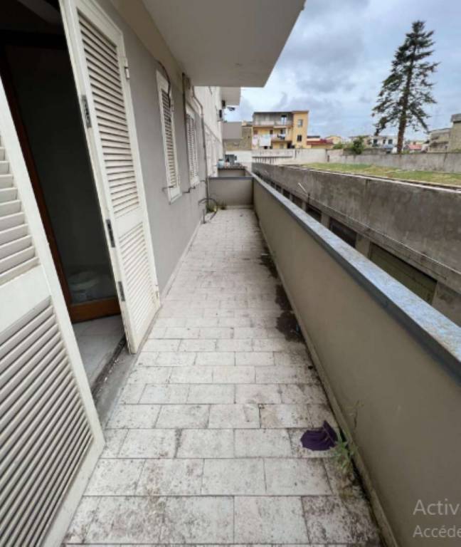 immagine annuncio 3 di 14